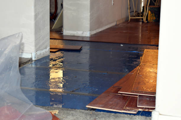 Professional Water Damage Restoration technician working in Harmony, ME